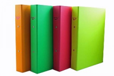 RINGBINDER A4 NEON COLOURS (RB-7273)